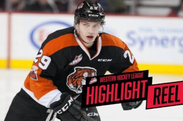 2017-18 HIGHLIGHT REEL | Ryan Chyzowski