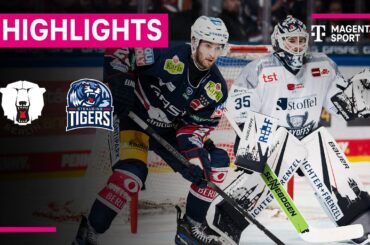 Eisbären Berlin - Straubing Tigers | PENNY DEL Playoffs | MAGENTA SPORT