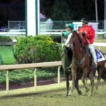 Zenyatta and Mike Smith return after the Breeders' Cup Classic - 11/6/10