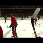 Blackhawks Andrew Shaw annoys everybody