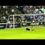 Braunaldinho! - 2010 Justin Braun Highlights