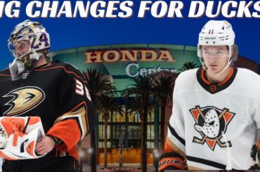 What's Next For The Anaheim Ducks? 2024 Off-Season Plan