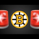 The Downfall of the Boston Bruins...