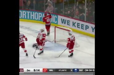 Martin Nečas goal vs Red Wings #shorts #czech #nhl #hockey