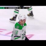 Radek Faksa 3rd Goal vs VGK November 28, 2017