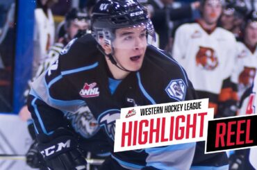 2018-19 HIGHLIGHT REEL | Cole Muir