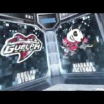 HIGHLIGHTS | Niagara IceDogs (5) - Guelph Storm (6) OT - January 10th, 2019