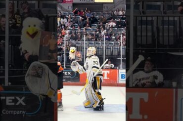 Quite distracting to the opposing goalie.  #letsgokomets #hockey