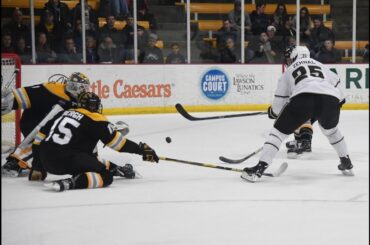 Richard Zehnal Wins the Game for WMU Hockey vs. Colorado College