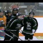 Jaden Schwartz - 2002 - Brick Super Novice Hockey Tournament