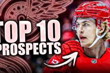 THE TOP 10 DETROIT RED WINGS PROSPECTS (THE BEST PROSPECT POOL IN THE NHL)