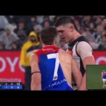 BRAYDEN MAYNARD FIGHTS JACK VINEY - 2023 AFL QUALIFYING FINAL