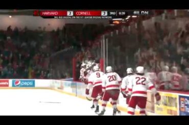 Cornell's Eric Freschi's GWG over Harvard 1-23-15 @ Lynah Rink