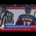 NHL announced that Nichushkin is suspended again (13 may 2024)