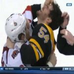 Boston and Senators line brawl (12/29/2015)