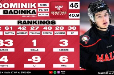 2024 NHL Draft Prospect Profile: Dominik Badinka