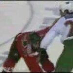 Minnesota Wild Fights