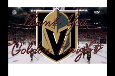 Vegas Golden Knights Inaugural Season Tribute
