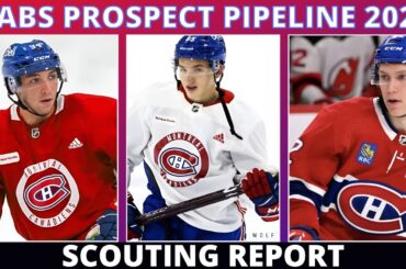 IMPACT Players In Habs Pipeline