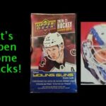 Quick Hockey Cards Pack Opening + Stats/Facts - 2020-21 Upper Deck Extended Hockey #1 #hockey #card