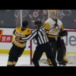 Brad Marchand punched Tristan Jarry's Head then tries to slash his face after