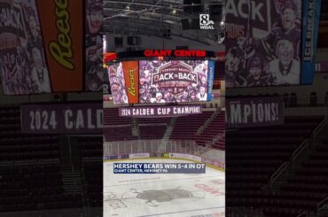 Hershey Bears are Calder Cup champions - again!