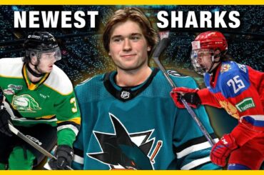 Celebrini & Dickinson Highlight Terrific Draft for Sharks