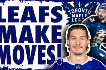 Maple Leafs sign 3 players! What's next?