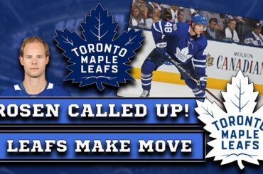 Maple Leafs Call Up Calle Rosen!