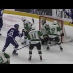 Justin Holl Goal - June 12, 2018