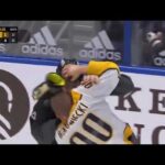 Pat Maroon and Mark Borowiecki Fight | Nashville Predators vs Tampa Bay Lightning 1-30-21