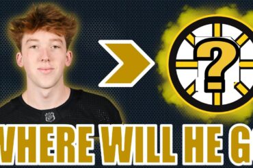 WHERE WILL BOSTON BRUINS DEFENDER MASON LOHREI START THE SEASON??? Boston Bruins Offseason Analysis!