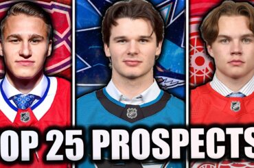 *RANKING* THE TOP 25 BEST NHL PROSPECTS! (2024)