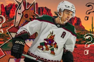 What's NEXT For The Arizona Coyotes FUTURE? 2024 Edition