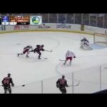 Incredible goal by Hamonic @ Blue Jackets