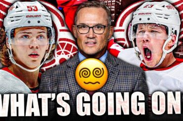 RED WINGS UPDATE: WHAT'S GOING ON W/ LUCAS RAYMOND & MORITZ SEIDER