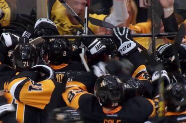 Top 10 Plays from the 2015-2016 Pittsburgh Penguins Stanley Cup Season