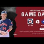 BRANTFORD REDSOX VS TORONTO MAPLE LEAFS