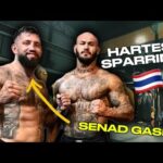 Hartes Sparring in Thailand mit Senad Gashi