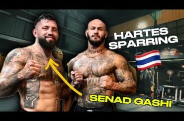 Hartes Sparring in Thailand mit Senad Gashi