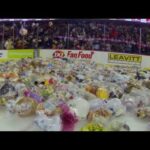 teddybeartoss