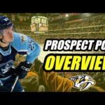 Prospect Pool Overview: Nashville Predators