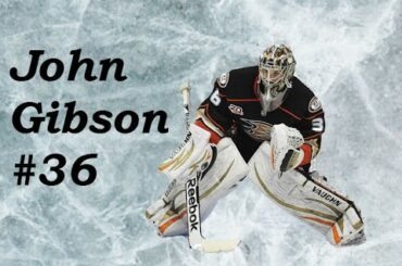 John Gibson #36 Highlights