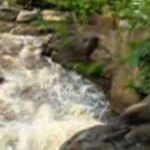 Matt Barnes Reedy River Falls run