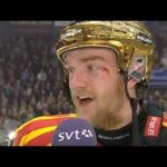 Brynäs sm guld 2012: Mattias Ekholm