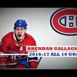 Brendan Gallagher (#11) ● ALL 10 Goals 2016-17 Season (HD)