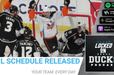 The AHL Schedule Is Released, How Might the Gulls Look?