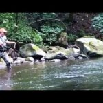 Fliegenfischen in der Bode im Harz in Thale Bodetal Angeln Forellen angeln Fly Fishing Sportfischen