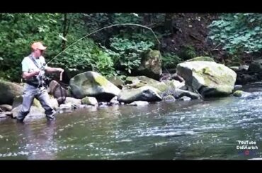 Fliegenfischen in der Bode im Harz in Thale Bodetal Angeln Forellen angeln Fly Fishing Sportfischen