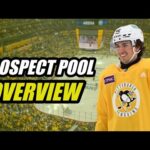 Prospect Pool Overview: Pittsburgh Penguins